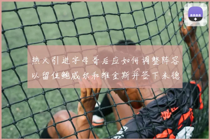 热火引进字母哥后应如何调整阵容以留住鲍威尔和维金斯并签下米德尔顿